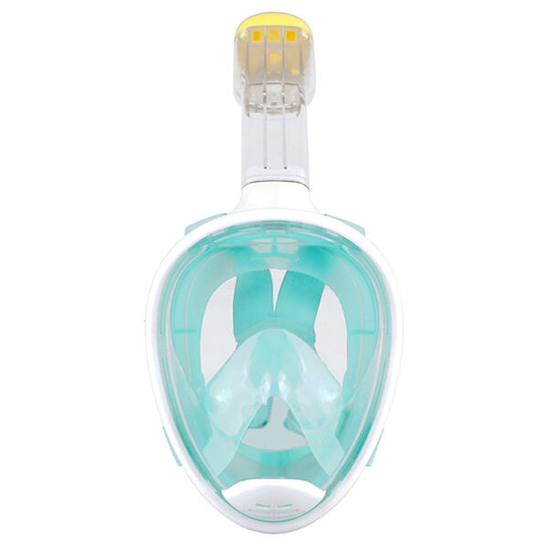 See the beauty of the ocean up close with a snorkel mask