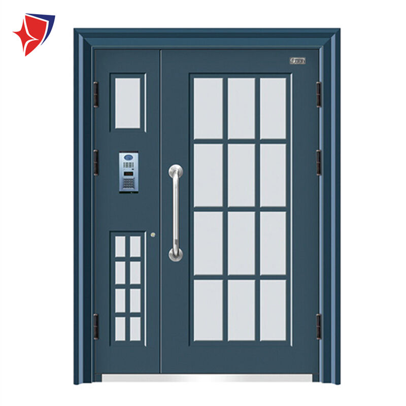 Single Steel Security Door