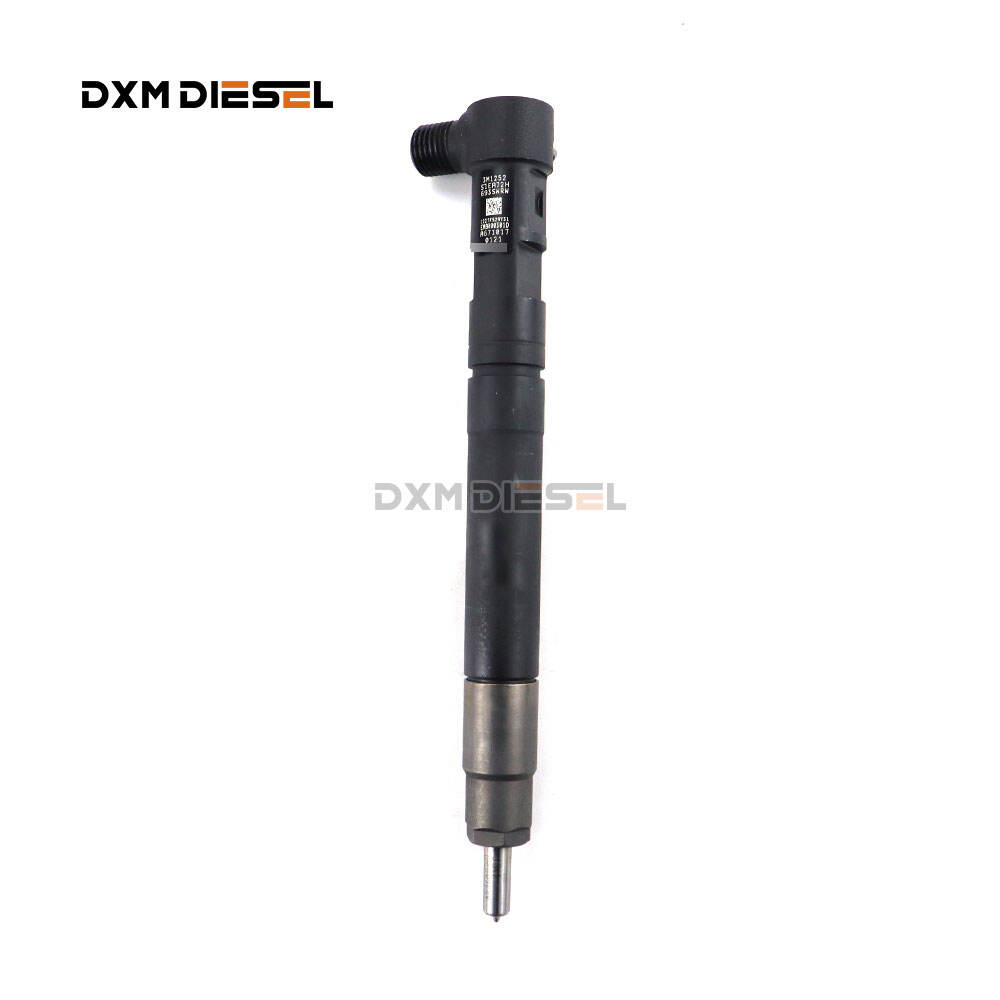 Original Del-phi  Diesel common rail injector 6710170121 A6710170121 EMBR00301D factory