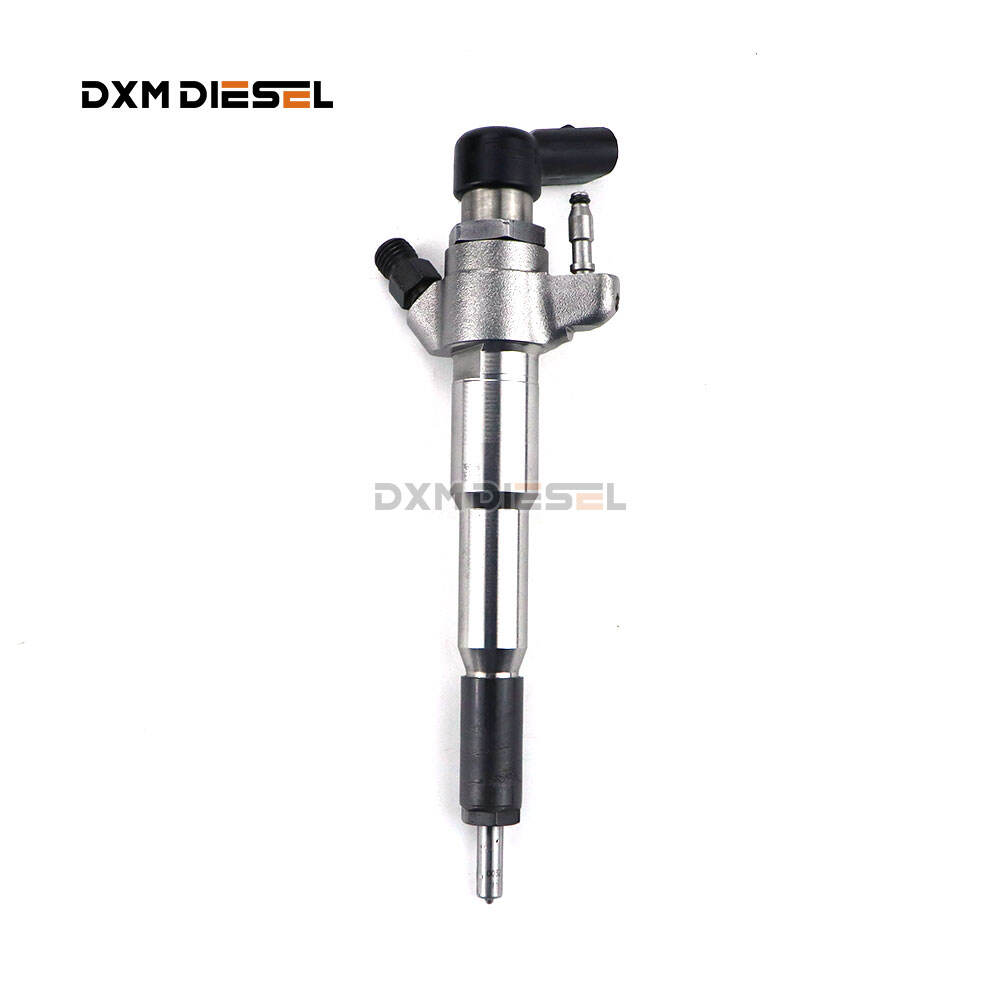 New Original Fuel Injector 166000372R For Diesel engine manufacture