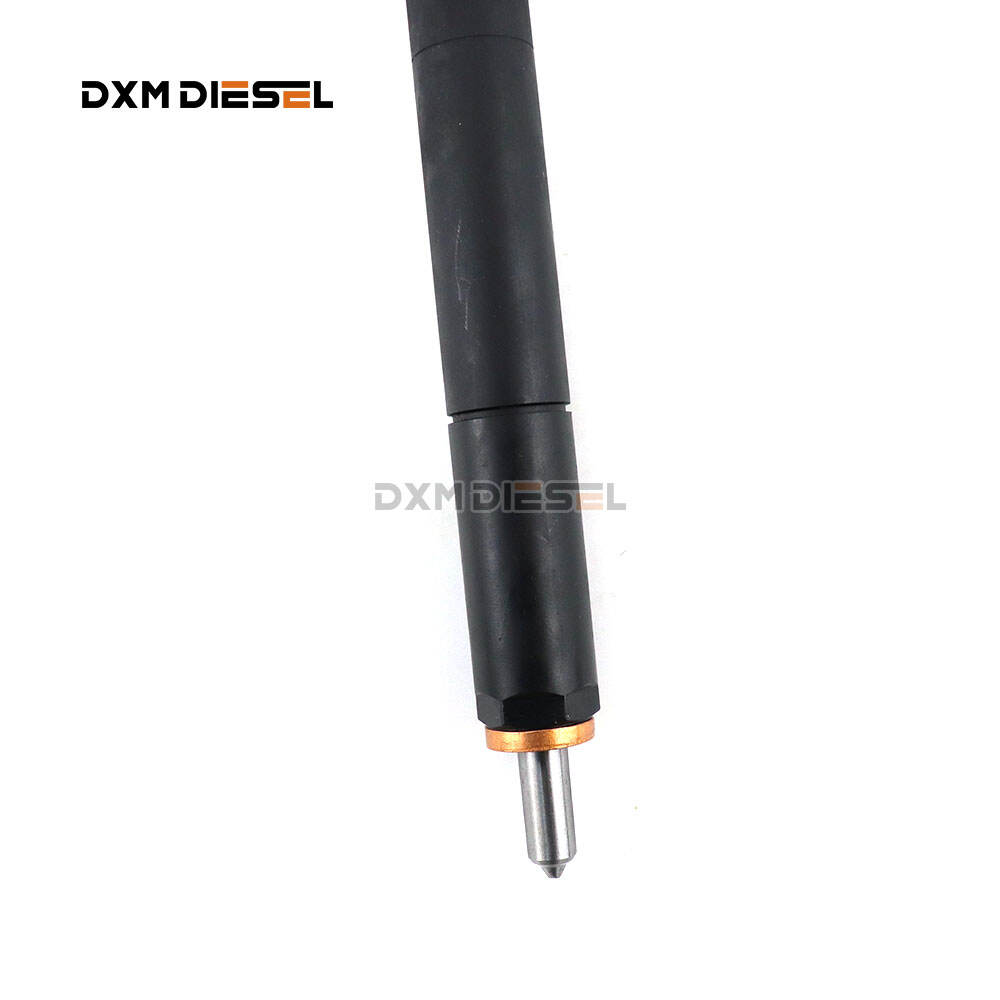 DXM R04701D Common Rail Diesel Injector details