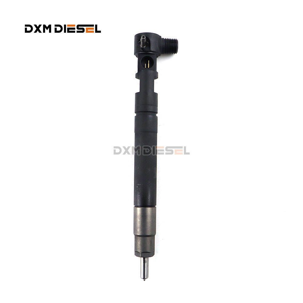 Original Del-phi  Diesel common rail injector 6710170121 A6710170121 EMBR00301D supplier