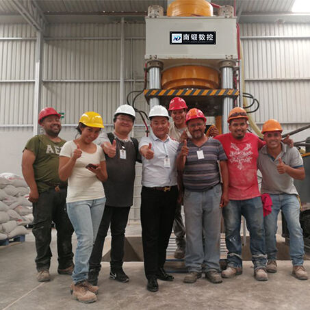 The 800-ton cow and sheep salt licking brick machine in Mexico