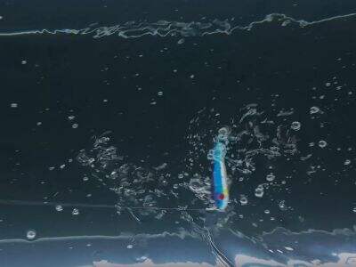 THORFORCE schwebender ABS-Hard-Lure: Realistische Bewegung trifft auf Dauerhaftigkeit