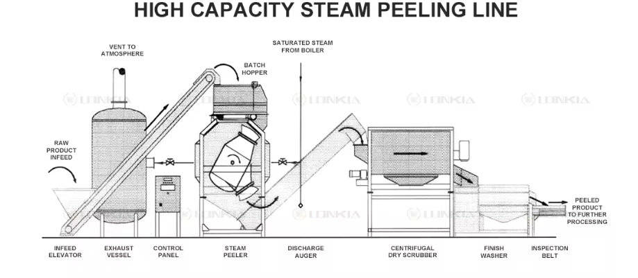 Steam Peeling Machine factory