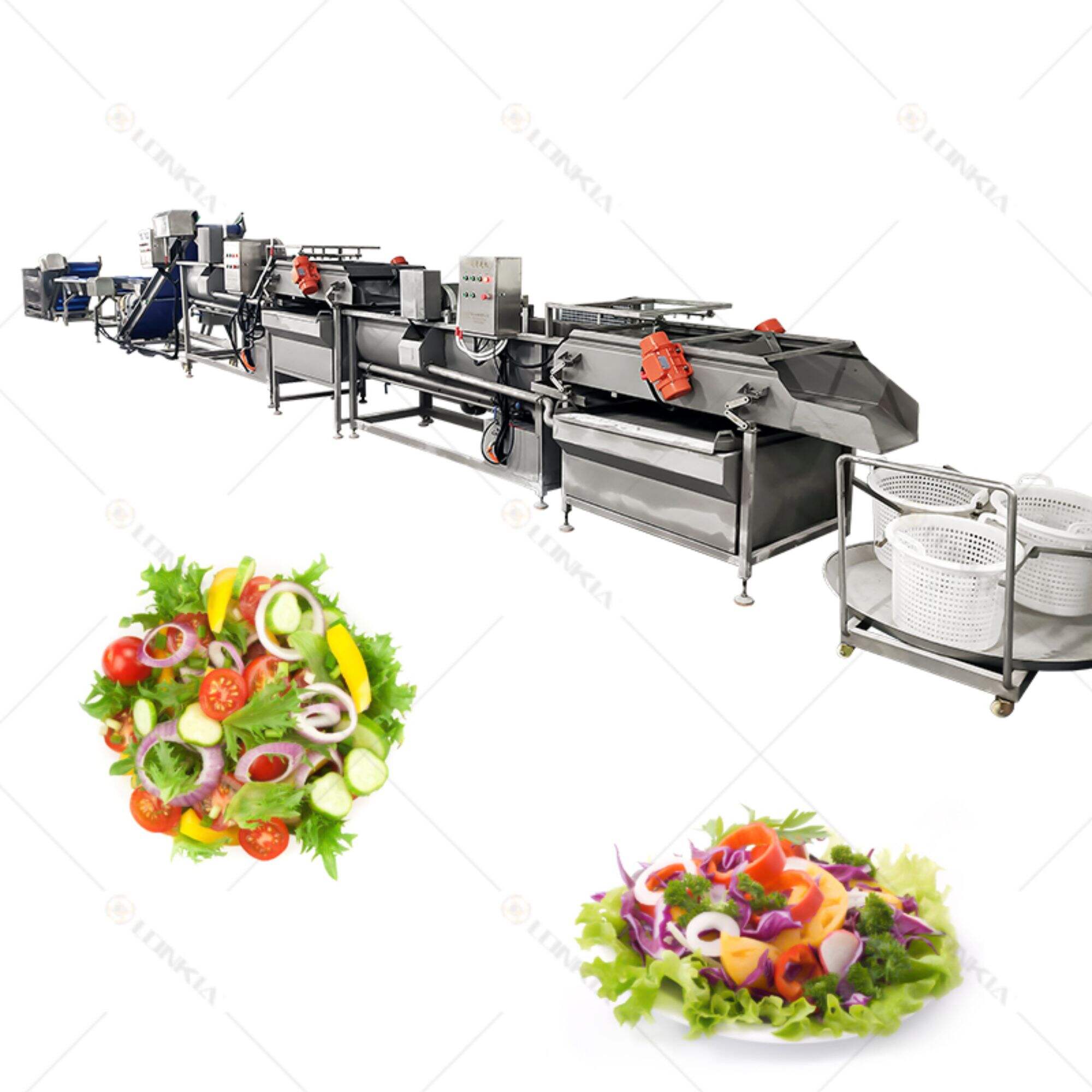 Salad Vortex Cleaning And Cutting Production Line