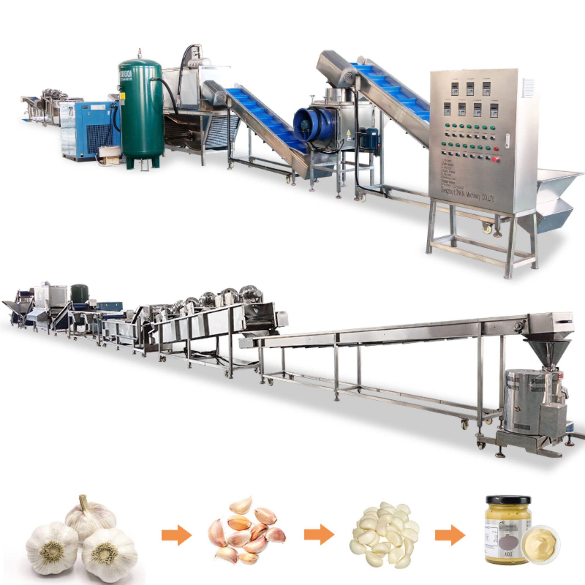 Fresh garlic processing solutions