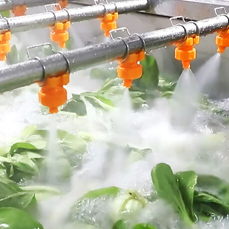 What Makes Our Vegetable Washing and Drying Machine Essential for Food Processing?