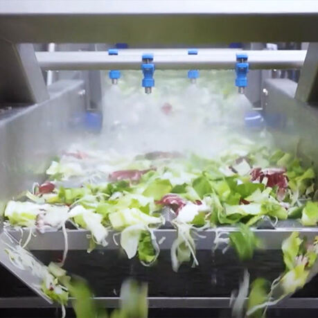 How Our Salad Vegetable Washing Cutting Machine Revolutionizes Food Processing