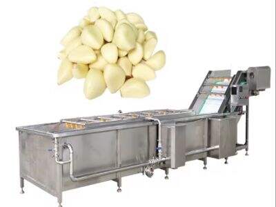 Larger capacity Garlic Peeling Machine