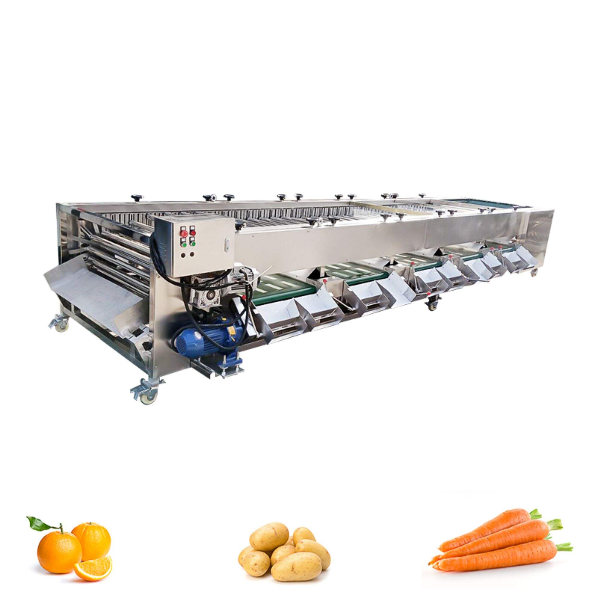 Carrot Sorting Machine