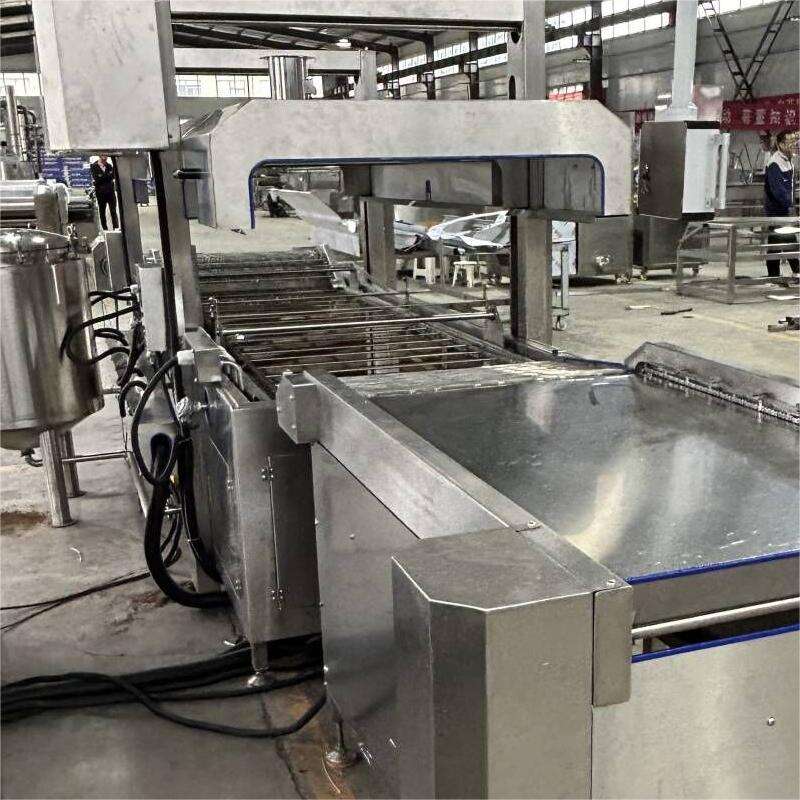 Continuous Frying Machine details