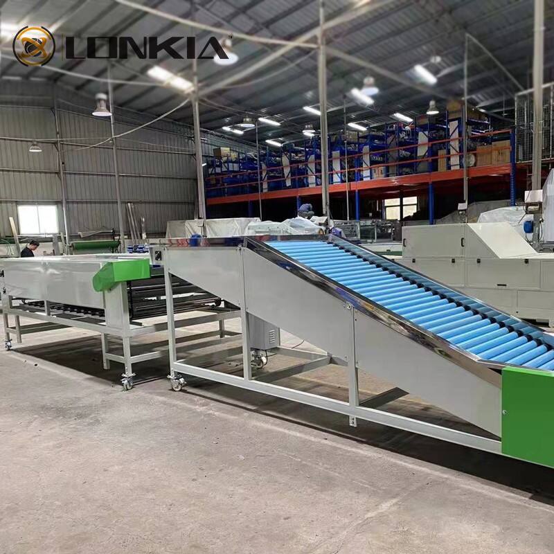 Carrot Sorting Machine supplier