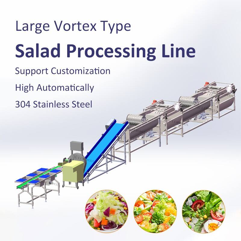 Salad Washing Line supplier