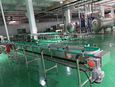 Chain conveyor