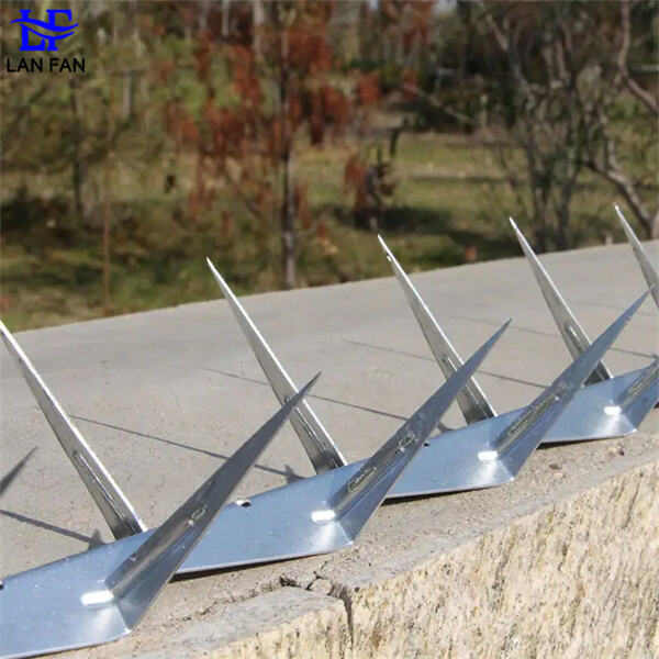 How To Use Stainless Steel Metal Wall Spikes Coastal Security