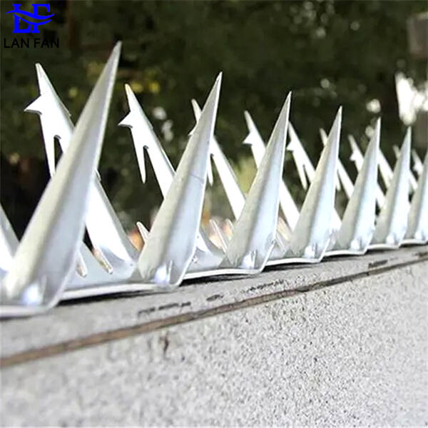 เพิ่มการมองเห็นด้วย Metal Wall Spikes