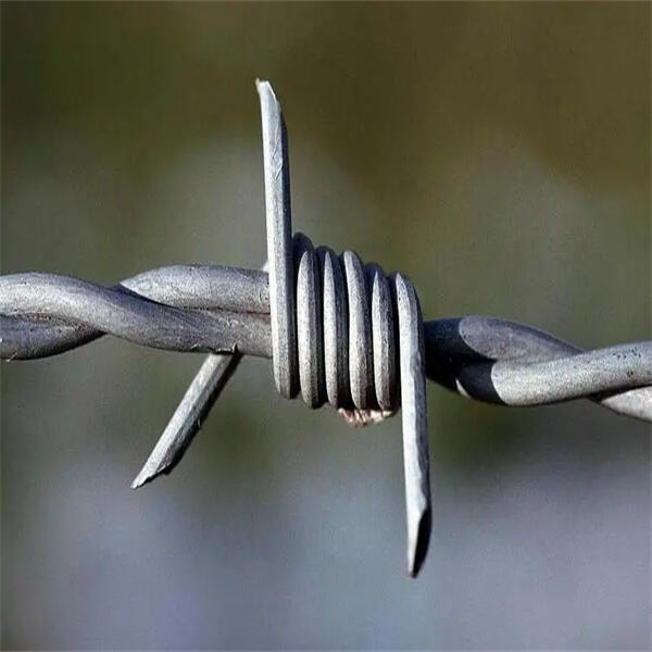 Safety Considerations for Using Barbed Wire Fence: