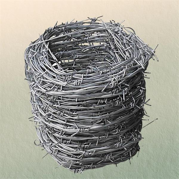 Innovation and Safety Features of Barbed Wire Security Fences