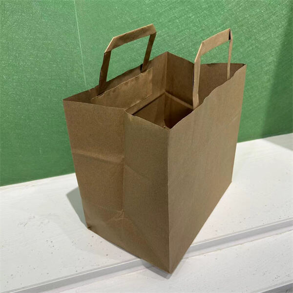 Kraft Bags With Handles - Introduced Innovation