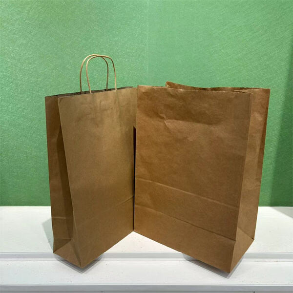 Surviving Practical Benefits of Large Kraft Paper Bags