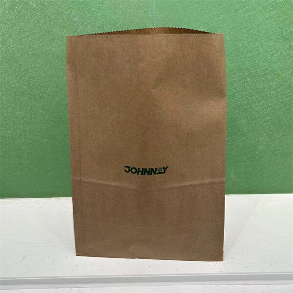 Kabag-ohan sa Dagkong Brown Paper Bags: