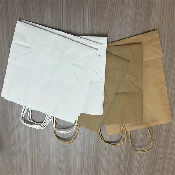 Use of Brown Paper Lunch Bags