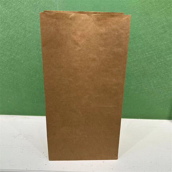 4. Salutis et usus Bag Kraft Paper