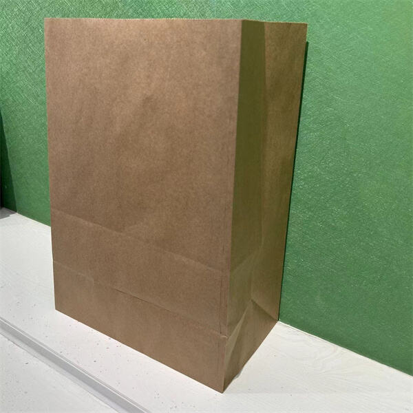 Kaluwasan ug Paggamit sa Dagkong Brown Paper Bags: