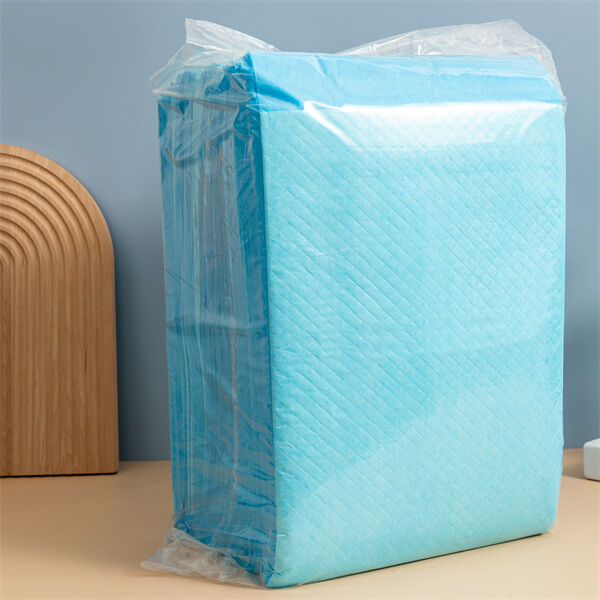 Solution pratique et hygiénique pour l'incontinence avec des alèses jetables