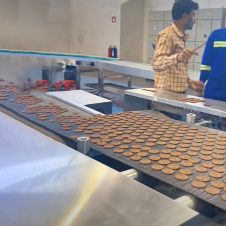 Biscuit production line