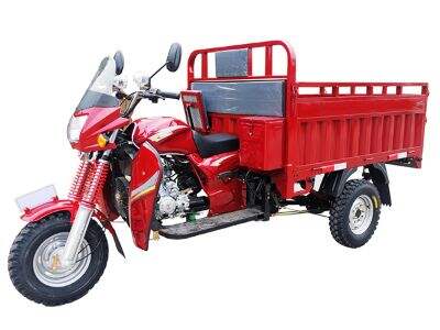 Different Styles of Gasoline Cargo Tricycle