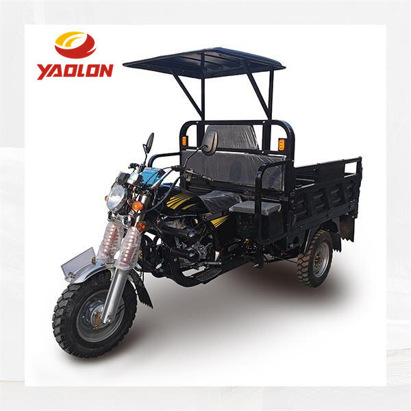 Getting in Gear with Adult Trikes