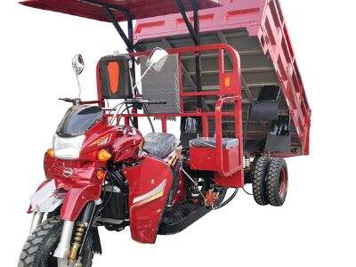 Safe and comfortable Passenger Gasoline Trike: Ideal for city sightseeing