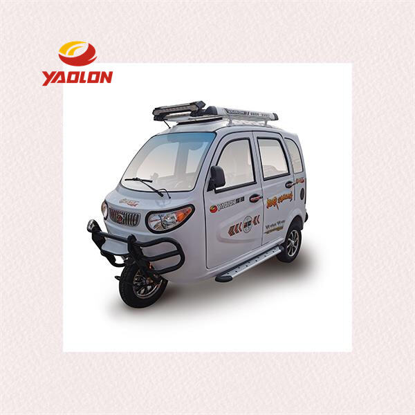 Passenger Trike Electric Rides