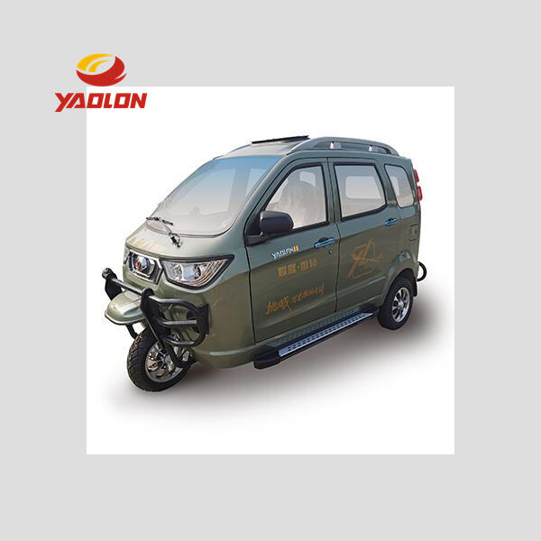 Tricycle Electric Motor