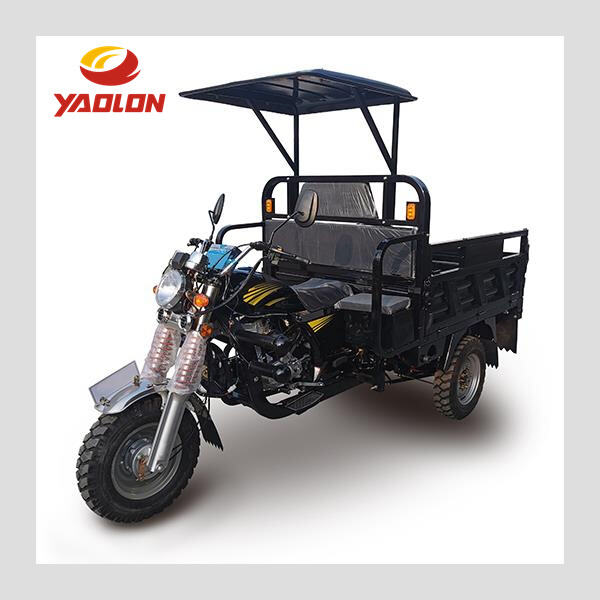 Innovative Design for Ultimate Fun and Functionality