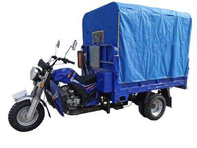 Luxury Passenger Gasoline Trike: Provide travelers with a premium riding experience
