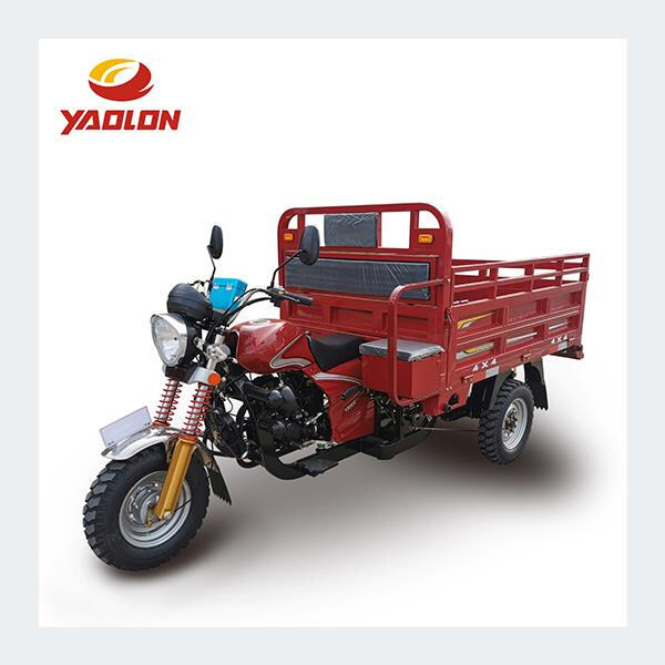 The Three Wheeler Passenger Motorcycle