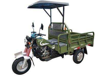 Heavy-Duty Cargo Tricycles: Load Capacity and Durability for Industrial Logistics