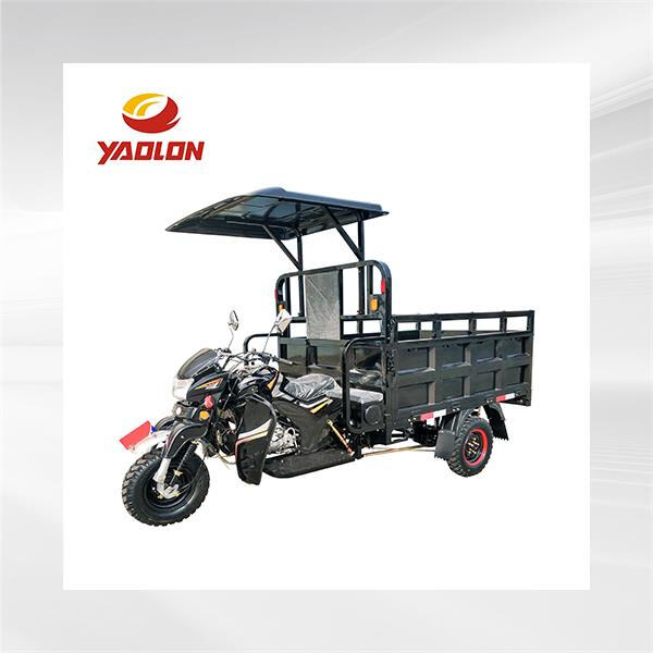 Why a petrol tricycle motorcycle is the perfect choice for eco-conscious riders.
