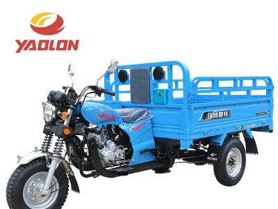 Powerful Gasoline Cargo Trike: Conquer tough delivery routes