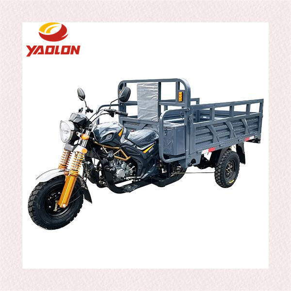 Experience the Thrill of the Open Road on an Electric Trike