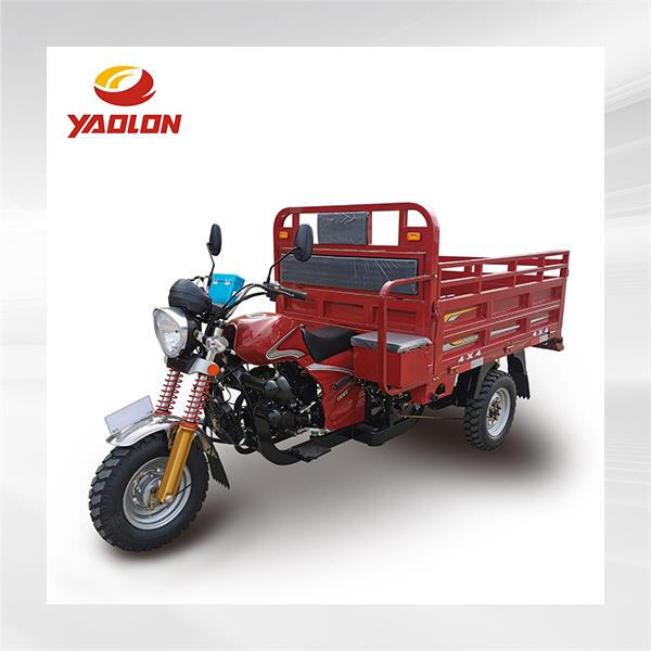 Cargo Three Wheel Motorcycle with Cabin