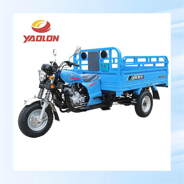 The Gasoline Tuk Tuk Three Wheeler