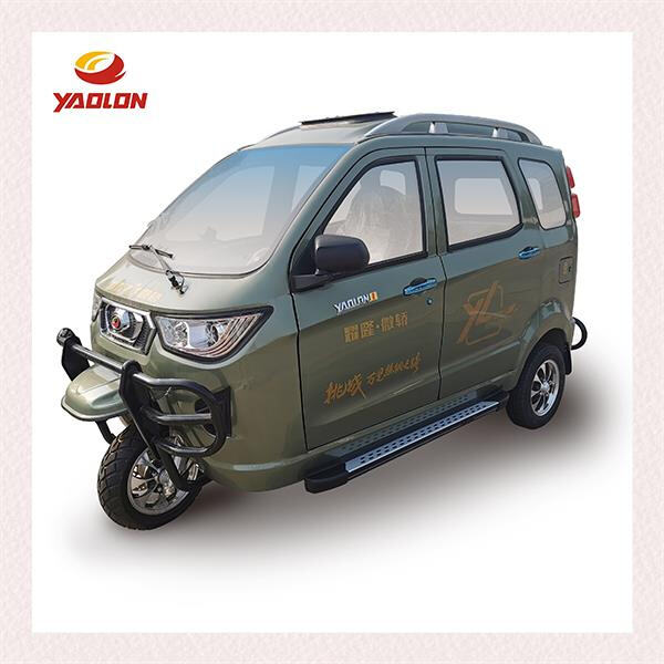 Electric Tricycles for the Elderly and Disabled"