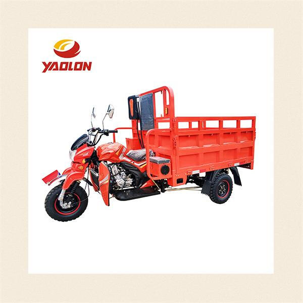 Unleash the power of a petrol tricycle perfect for adult riders