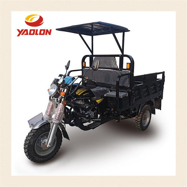 Experience the Thrill of the Open Road in Style with a Three-Wheel Motorcycle Car