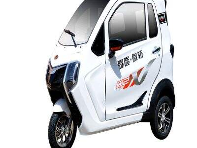 High-Speed Cargo Three-Wheeled Motorcycle: Fast Cargo