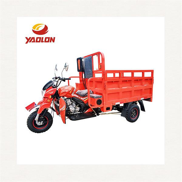Say goodbye to gas guzzlers and hello to the eco-friendly petrol powered passenger trike